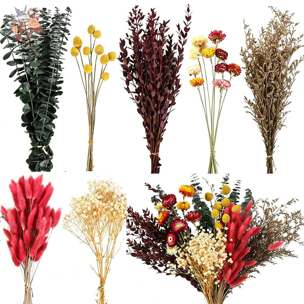 Florist Flower Supply - Set de Flores Secas al por