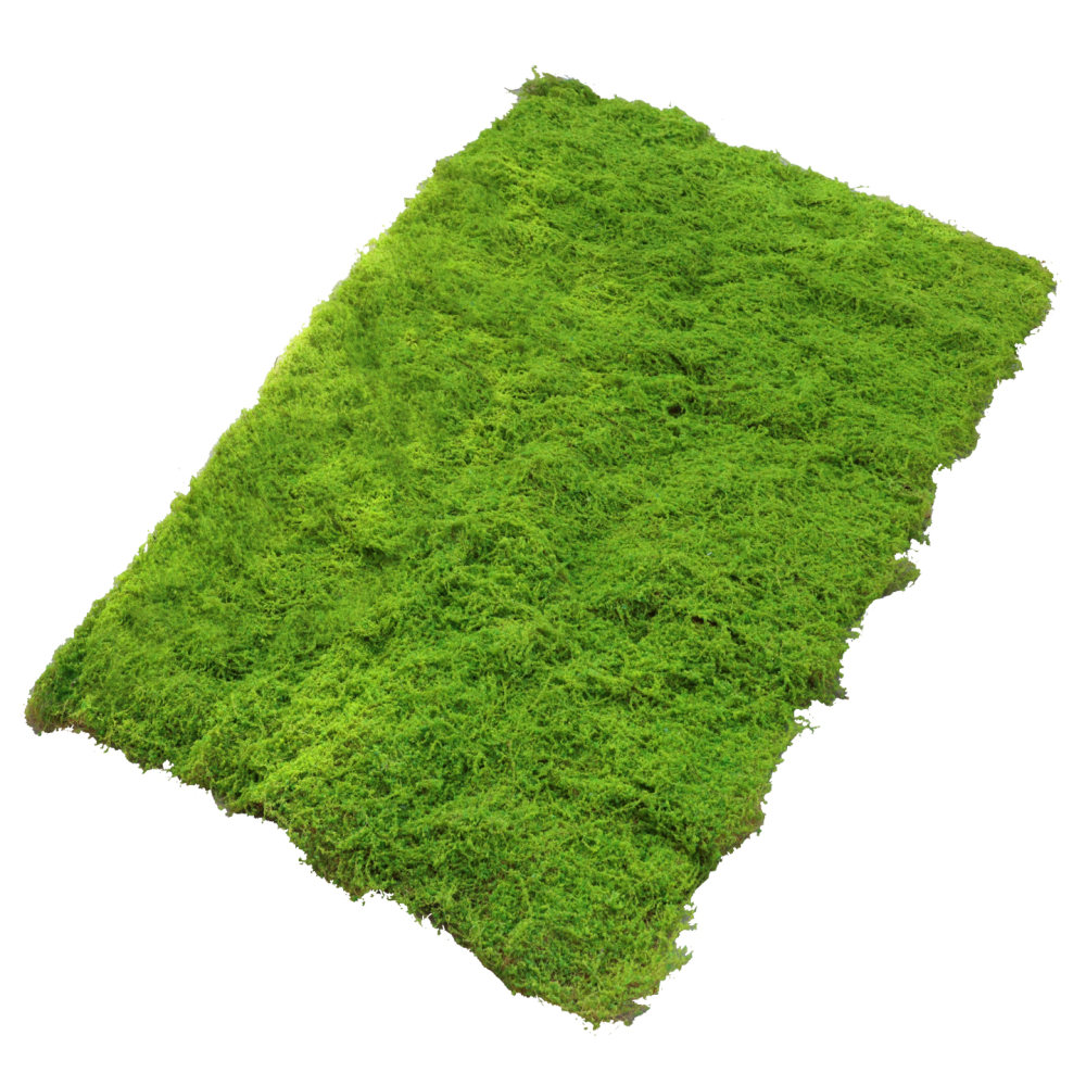 Alfombra de césped artificial  - Preserved Moss Sheet reseña y precio
