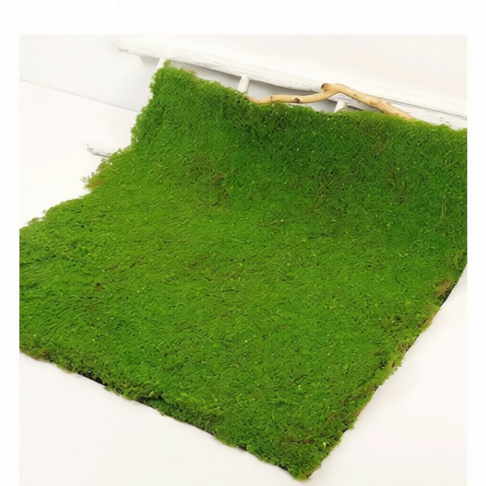 Alfombra de césped artificial  - Preserved Moss Sheet reseña y precio