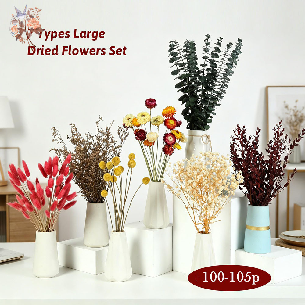 Set de Flores Secas al por May - Florist Flower Supply reseña y precio