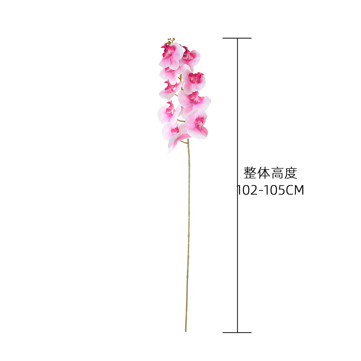 Orquídea Phalaenopsis Artifici - Florist Supply Bulk reseña y precio