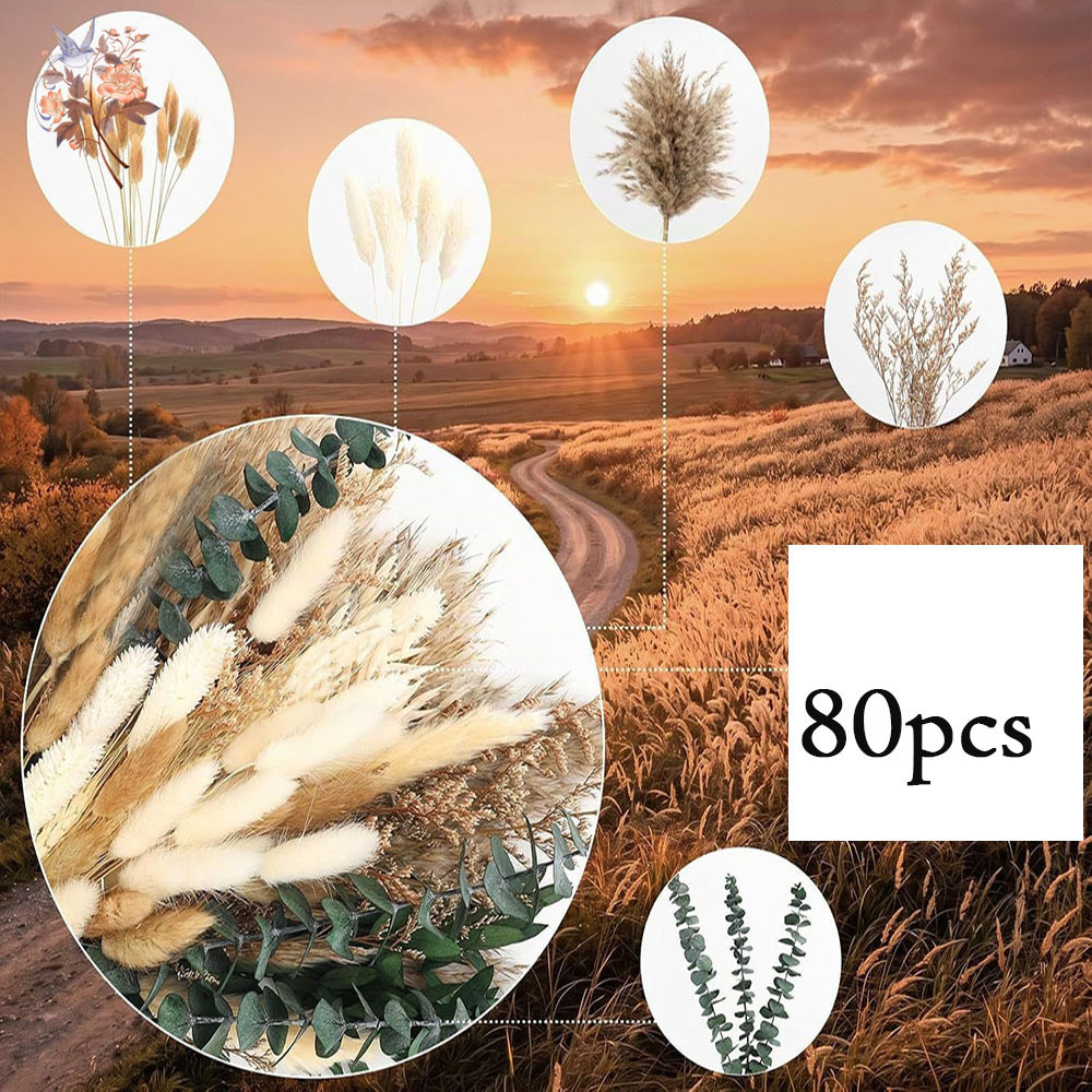 80 piezas de flores secas natu - Eucalyptus Preserved reseña y precio
